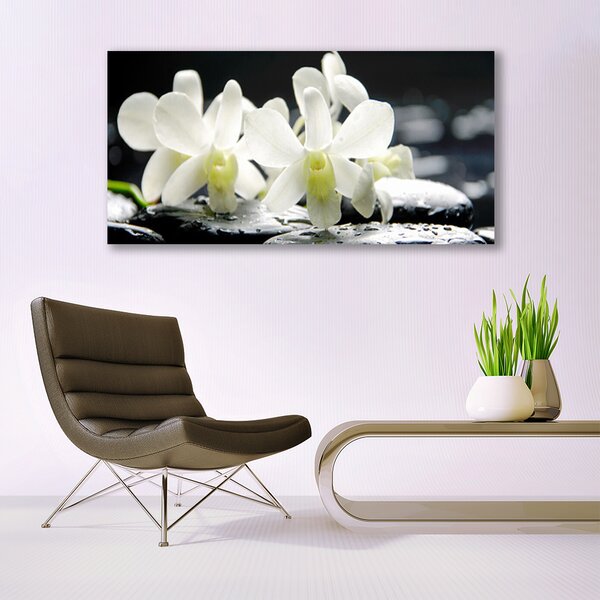 Obraz canvas Orchidea na Rzecznych Kamieniach
