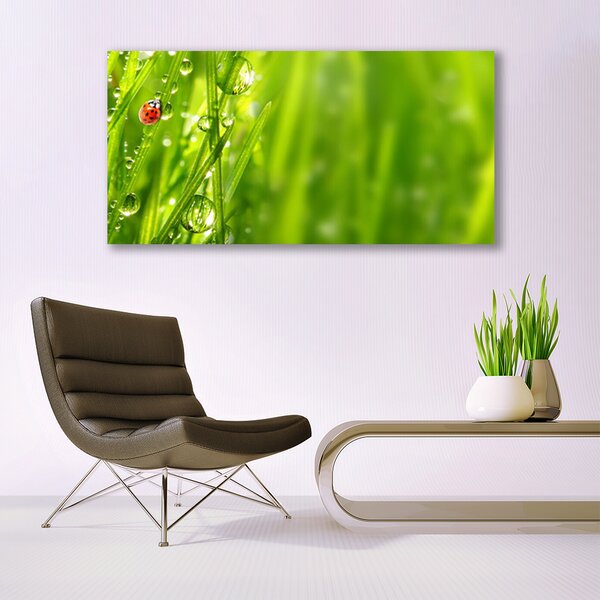 Obraz canvas Biedronka na Zielonym Źdźble