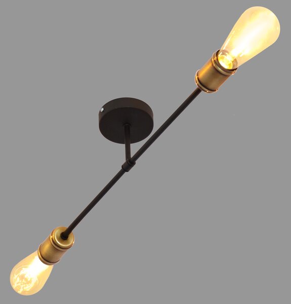 Lampa przysufitowa CAMBRIDGE W-2022/2 BK+AB/H
