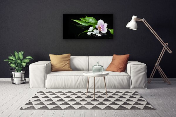 Obraz canvas na ścianę Kompozycja Spa i Natury