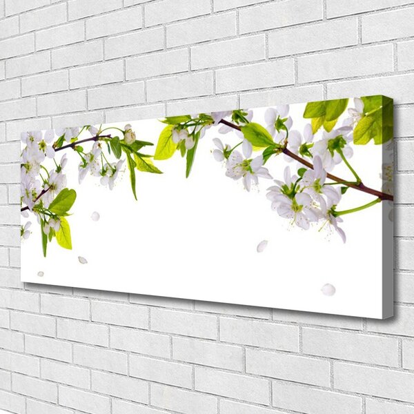 Obraz canvas na ścianę Makro Płatków Kwiatów