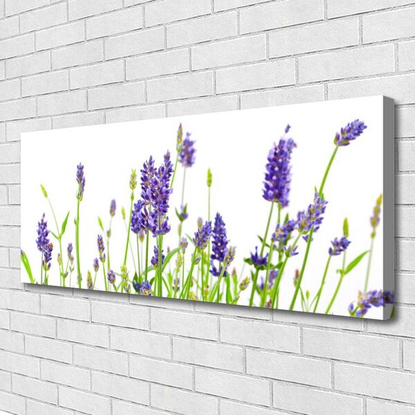 Obraz canvas na ścianę Delikatność Kwiatowych Form