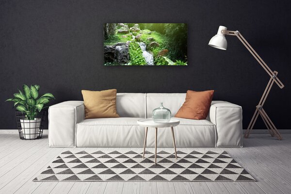 Obraz canvas na ścianę Szumiący Potok wśród Traw