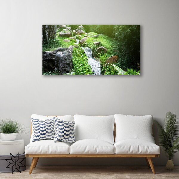 Obraz canvas na ścianę Szumiący Potok wśród Traw