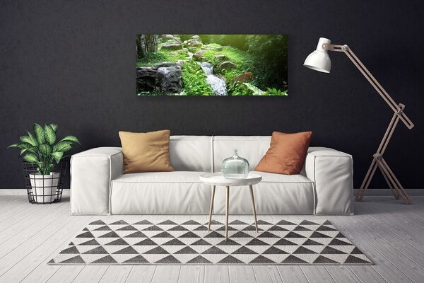 Obraz canvas na ścianę Szumiący Potok wśród Traw