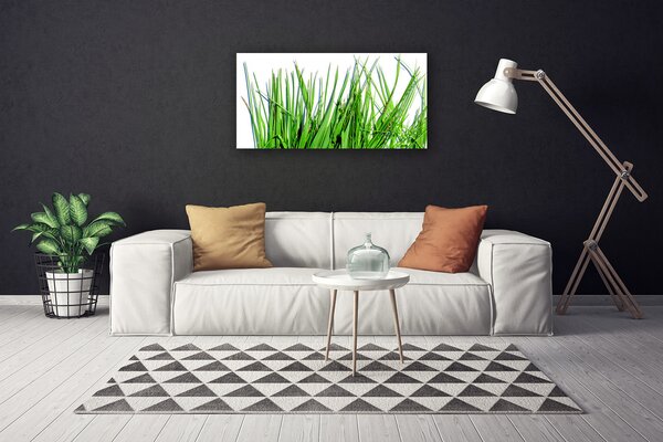 Obraz canvas na ścianę Naturalny Motyw Trawy