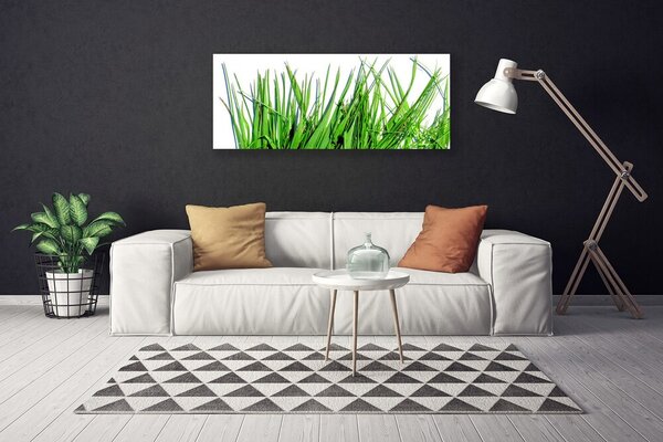 Obraz canvas na ścianę Naturalny Motyw Trawy