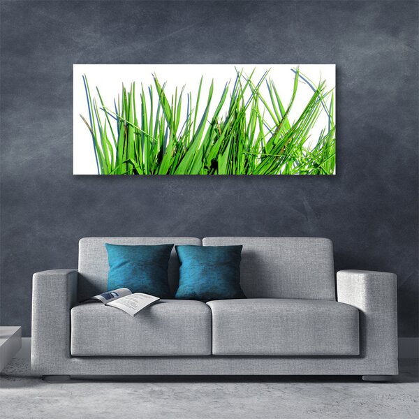 Obraz canvas na ścianę Naturalny Motyw Trawy