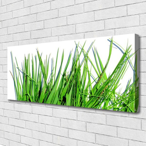 Obraz canvas na ścianę Naturalny Motyw Trawy