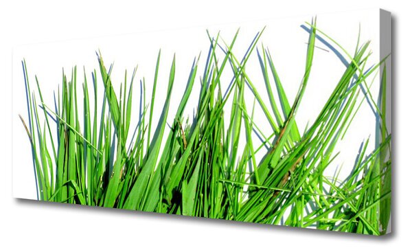 Obraz canvas na ścianę Naturalny Motyw Trawy