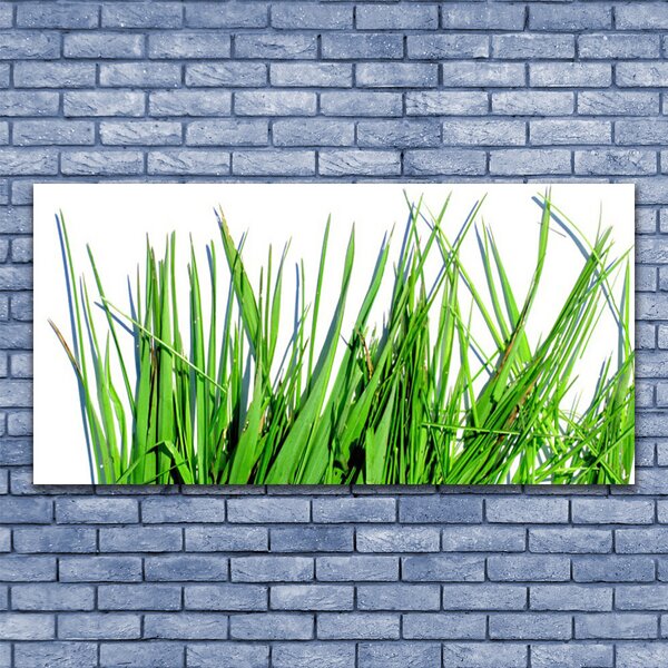 Obraz canvas na ścianę Naturalny Motyw Trawy