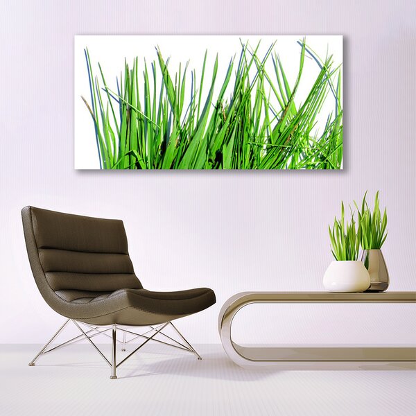 Obraz canvas na ścianę Naturalny Motyw Trawy