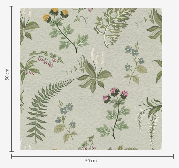 Tapety Rośliny botaniczne i paprocie w kolorze jasnoszarym i zielonym, Tapety Z kwiatami, a00498 : Uwalls.pl