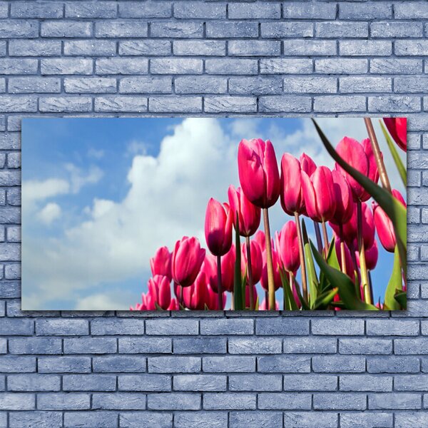 Obraz na Szkle Tulipan Na Ścianę