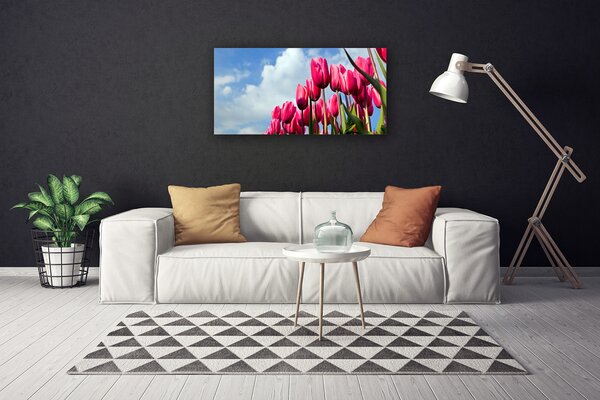 Zdjęcie na płótnie Elegancki Czerwony Tulipan