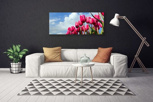 Zdjęcie na płótnie Elegancki Czerwony Tulipan
