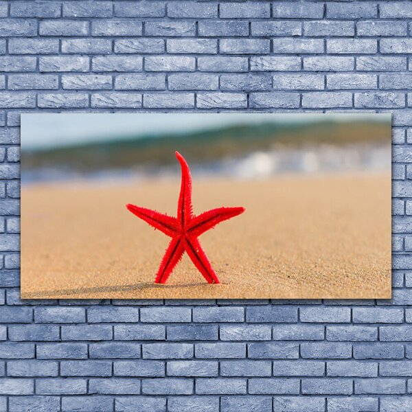 Obraz na Szkle Plaża Rozgwiazda Sztuka