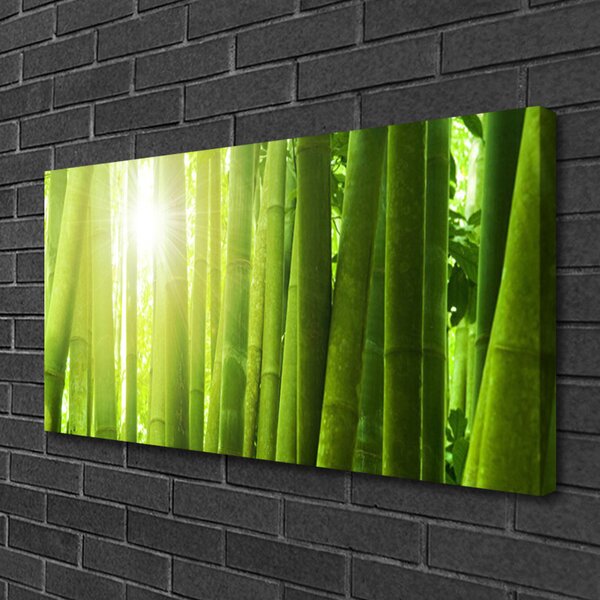 Obraz na płótnie Świeżość Zielonego Bambusa