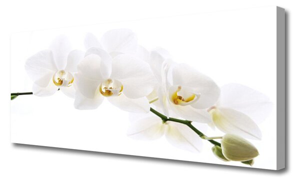 Obraz na płótnie Egzotyczna Elegancja Orchidei