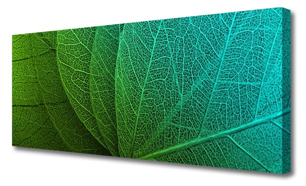 Obraz na płótnie Botaniczna Forma Abstrakcyjna