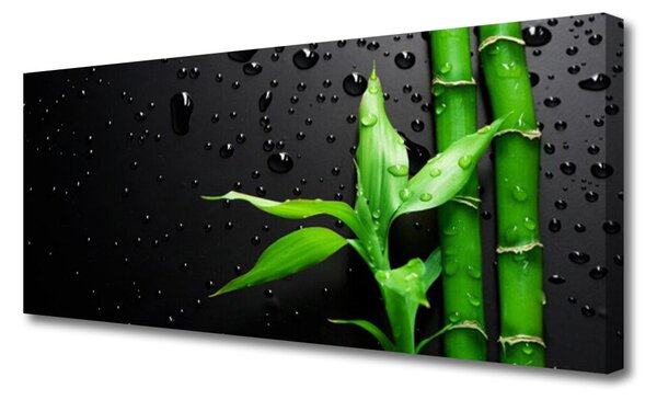Obraz canvas na ścianę Tropikalny Motyw Bambusa