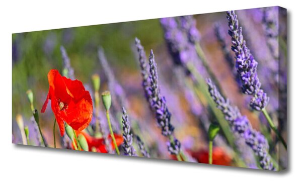 Obraz canvas na ścianę Dekoracyjny Motyw Roślinny