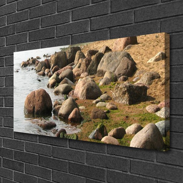 Obraz canvas na ścianę Skaliste Wybrzeże Oceanu