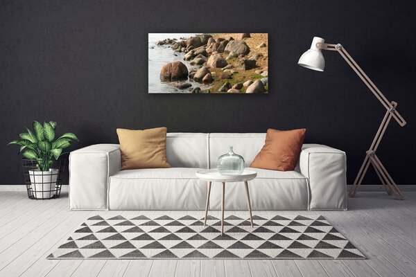 Obraz canvas na ścianę Skaliste Wybrzeże Oceanu