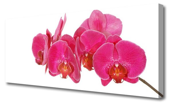 Obraz na płótnie Romantyczna Flora Ogrodowa