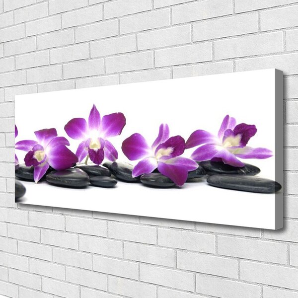 Zdjęcie na płótnie Orchidea w Klimacie Spa