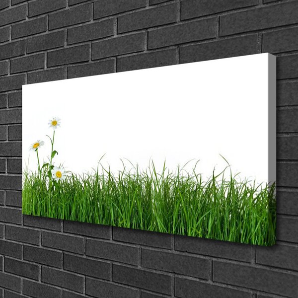 Obraz canvas na ścianę Delikatność Polnej Trawy