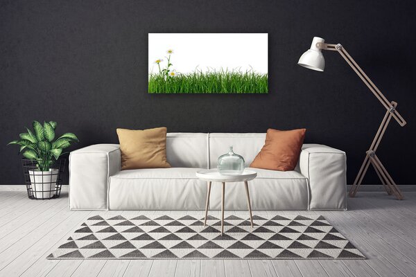 Obraz canvas na ścianę Delikatność Polnej Trawy