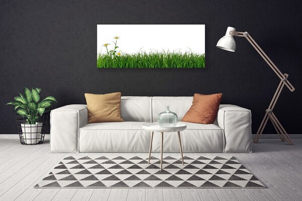Obraz canvas na ścianę Delikatność Polnej Trawy