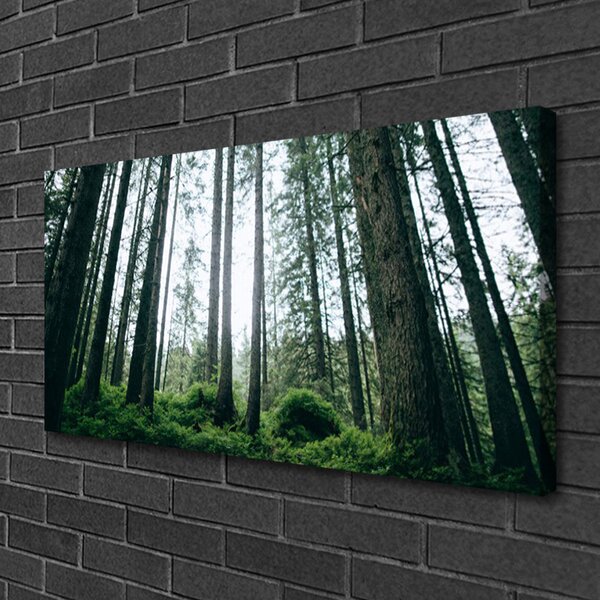 Obraz canvas na ścianę Promienie Słońca w Lesie