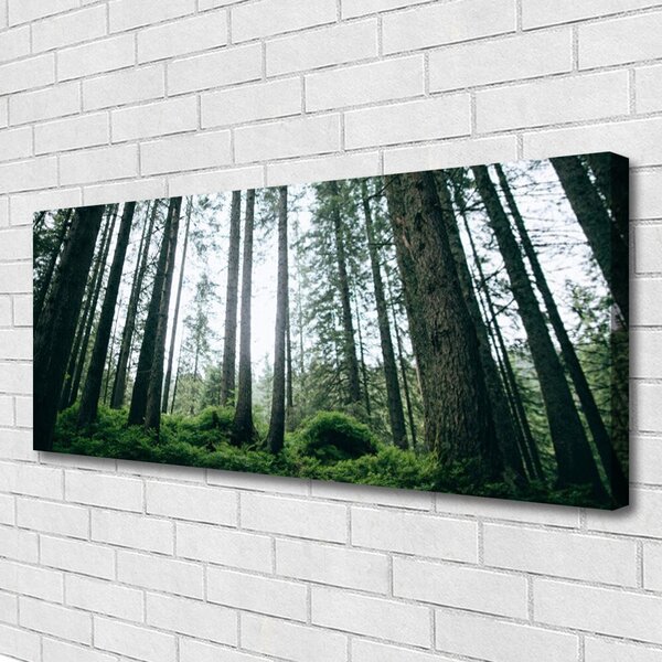 Obraz canvas na ścianę Promienie Słońca w Lesie
