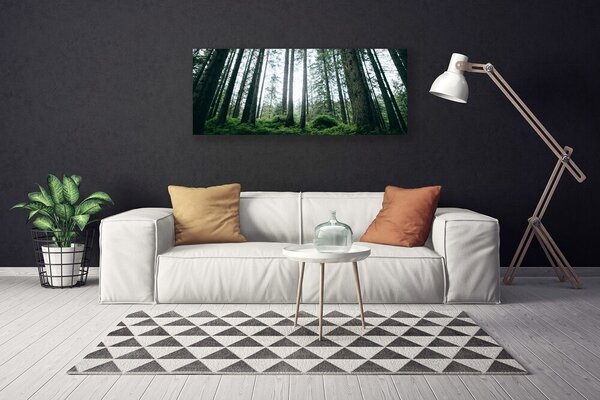 Obraz canvas na ścianę Promienie Słońca w Lesie