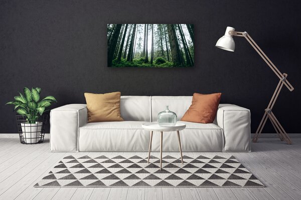 Obraz canvas na ścianę Promienie Słońca w Lesie