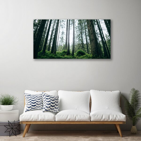 Obraz canvas na ścianę Promienie Słońca w Lesie