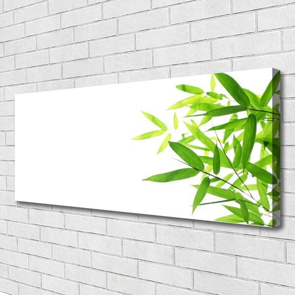 Obraz canvas na ścianę Tekstura Zielonego Liścia