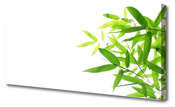 Obraz canvas na ścianę Tekstura Zielonego Liścia