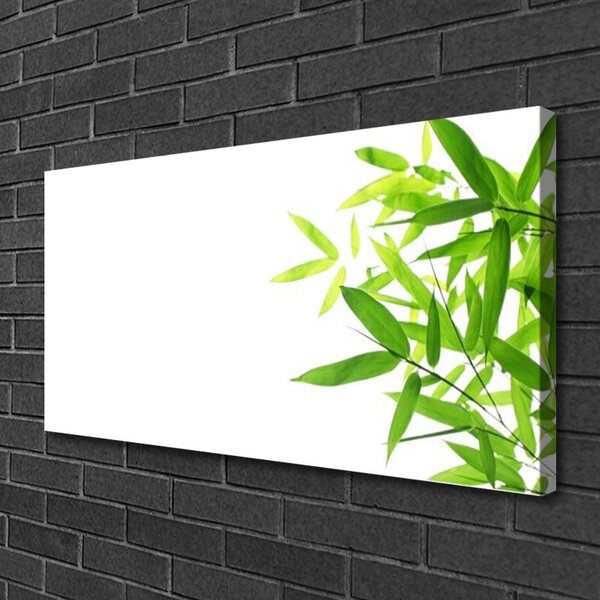 Obraz canvas na ścianę Tekstura Zielonego Liścia