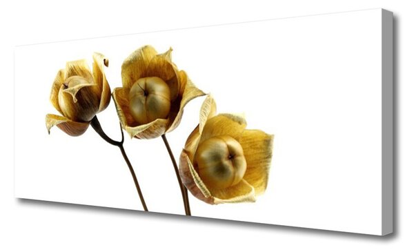 Obraz na płótnie Stylowa Flora Ścienna