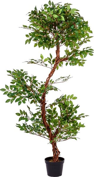 PLANTASIA Sztuczne drzewo yerlin, 160 cm