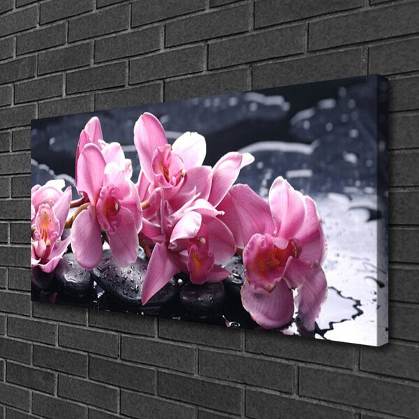 Fotoobraz na płótnie Różowa Orchidea w Detalu