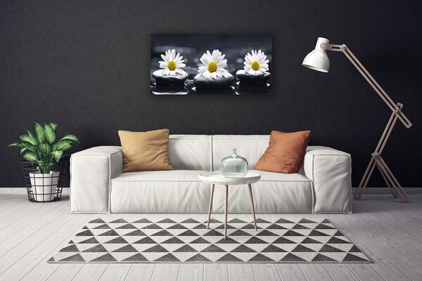 Fotoobraz na płótnie Stokrotka wśród Kamieni