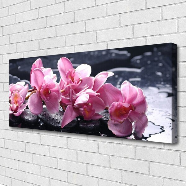 Fotoobraz na płótnie Różowa Orchidea w Detalu