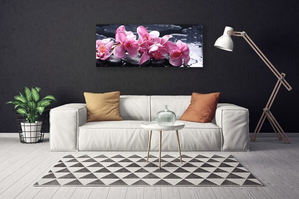 Fotoobraz na płótnie Różowa Orchidea w Detalu