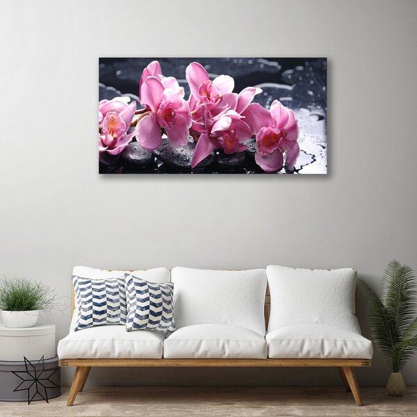 Fotoobraz na płótnie Różowa Orchidea w Detalu