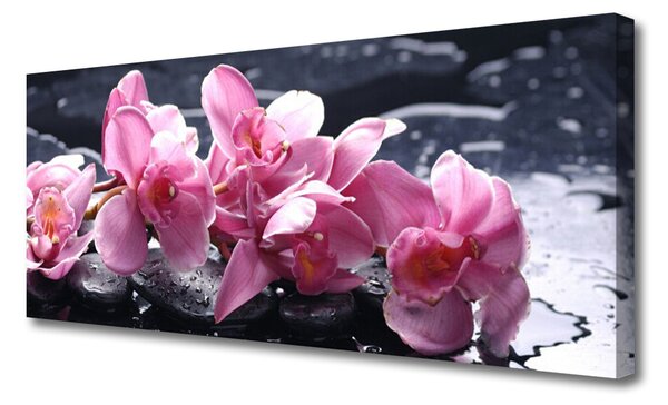 Fotoobraz na płótnie Różowa Orchidea w Detalu