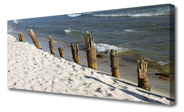 Duży obraz na płótnie Piaszczyste Wybrzeże Oceanu